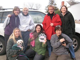 Rescue Volunteers: Front row: Karen Barbere, Cindy Starkey, Maria Kearney. Back row: Mari Christensen, Edie Elting, Pat Shannon, Alex Wilson