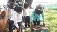 Bee Keeping training in Ramnagar, Kurukshetra