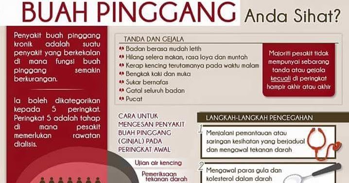 TANDA PENYAKIT BUAH PINGGANG - INILAH REALITI BUKAN FANTASI