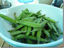 P1000681