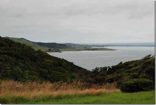 by car park at Nugget Point