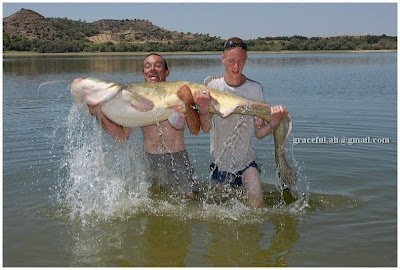 Unbelievable Pictures Of Gaint Fish