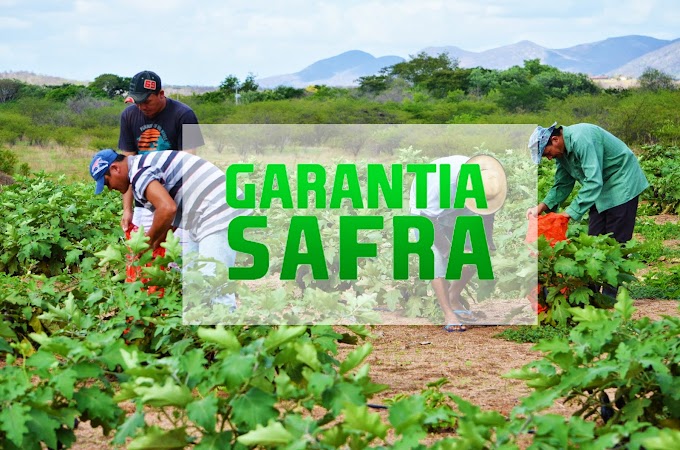 Deputado Irapuan Pinheiro e outros 12 municípios cearenses são liberados para beneficio do Garantia Safra
