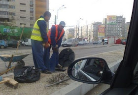 romania funny pics workers cluj