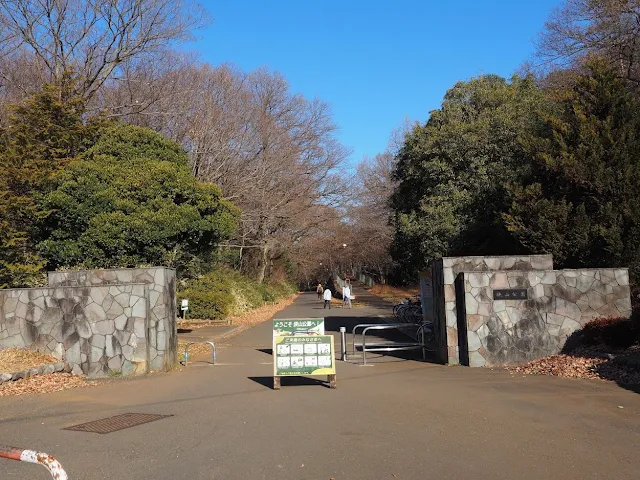 多摩湖自転車道　都立狭山公園