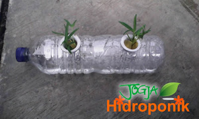  Kreasi  Aqua Botol  Bekas  Untuk  Tanaman  Hidroponik Jogja 