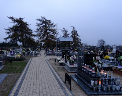 Zdjęcie: