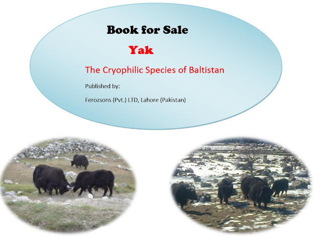 Book YAK