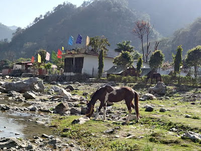 Riverside-view-of-camping-in-rishikesh