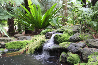 Geelong Botanic Gardens