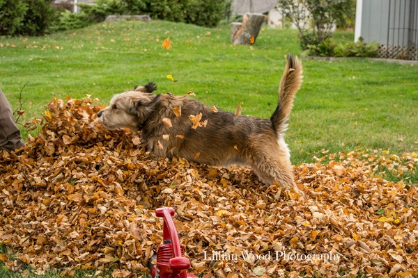OCTOBER 2015 (51 of 104)