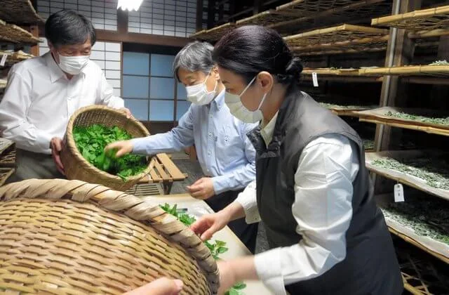 Emperor Naruhito, Empress Masako and their daughter Princess Aiko working on sericulture at the Momijiyama Imperial Cocoonery