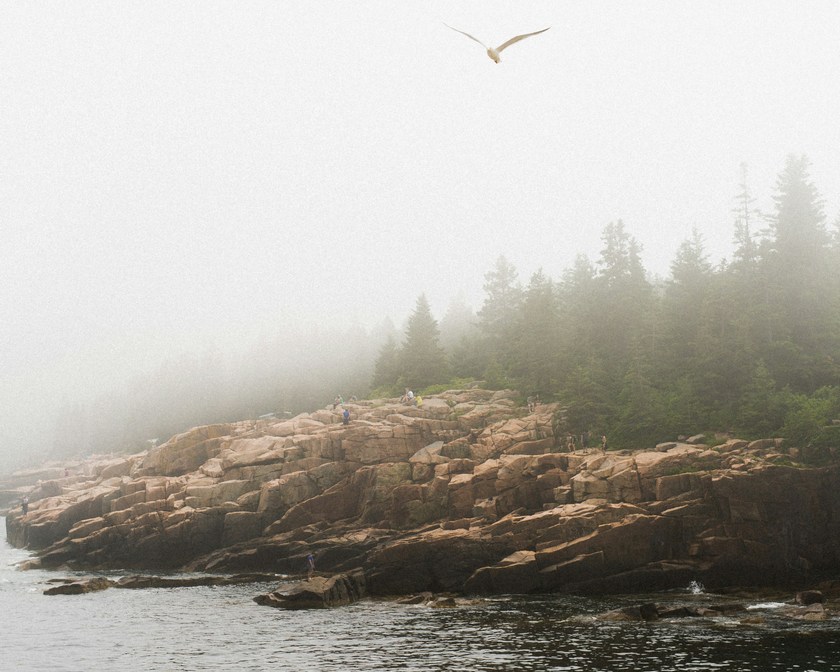 things to do in acadia national park