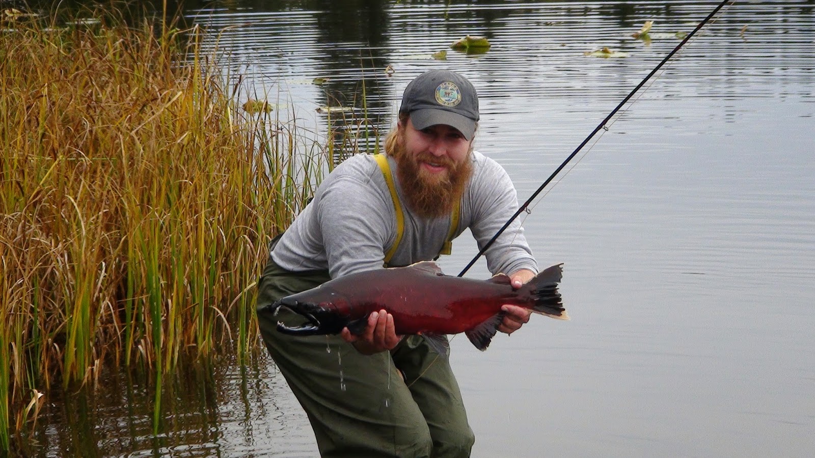 White River Pesca de la trucha : Una gran experiencia Pesca