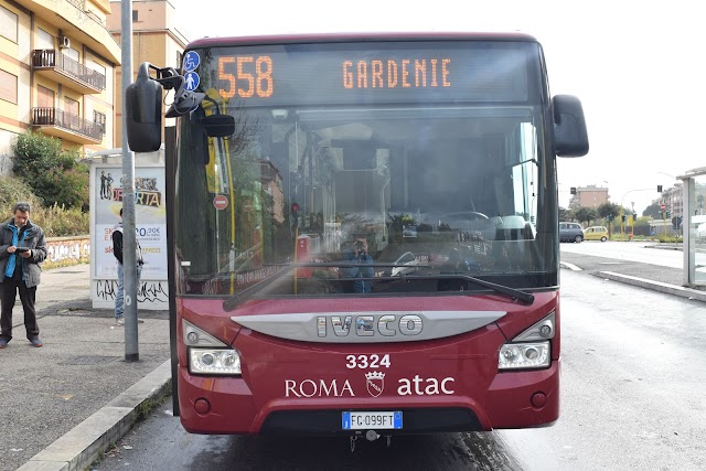 Quando arrivano i nuovi autobus?