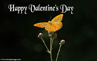 valentines day images for love