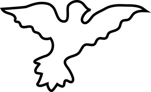 palomas paz (7)