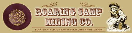 Roaring Camp Mining Company