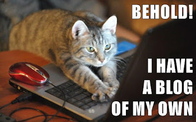 cat typing on laptop