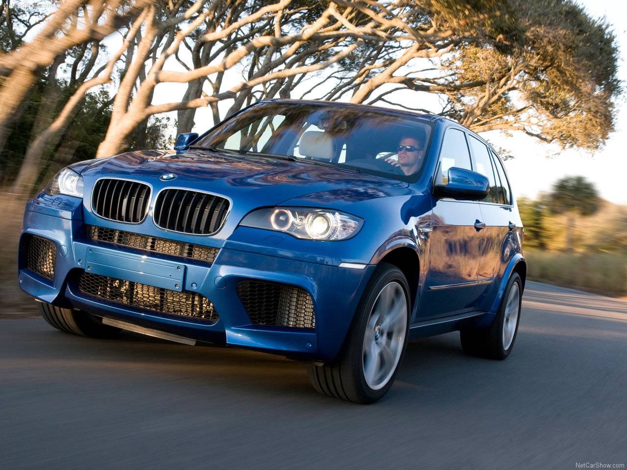 BMW - Auto twenty-first century: 2010 BMW X5 M