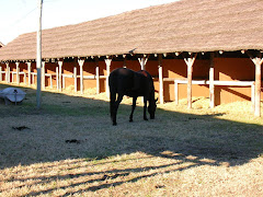 Caballerizas del Endurance