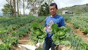 Kampung Sayur, Petani Sayur dan Pasar Sayur 