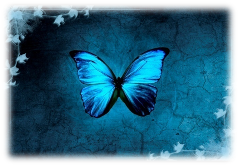 wallpaper blue butterfly. wallpaper blue butterfly. lue