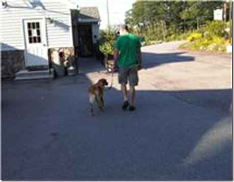 Maggie and vet