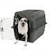 How do I get my dog used to a travel crate