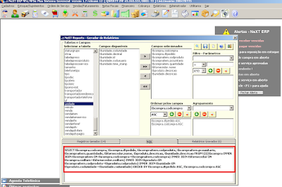 NeXT ERP NeXT Reports Gerador de Relatórios Dinâmico