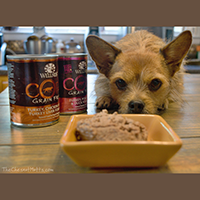 Wellness CORE Canned Dog Food review