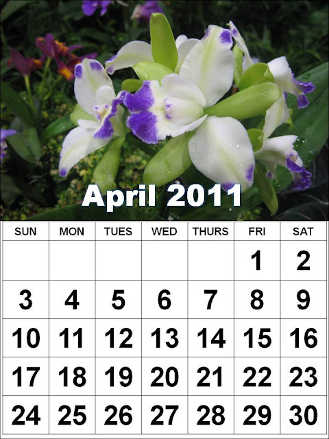 2011 calendar template april. 2011 calendar template april.