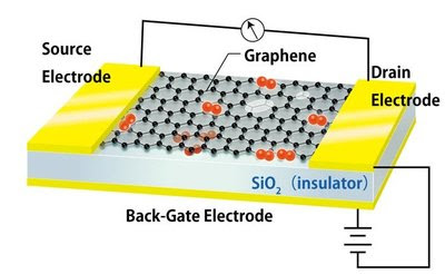 Structure of Graphene Field Effect Transistor (FET)