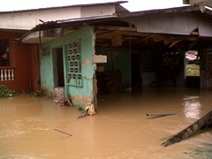 IMG00587-20120729-0916