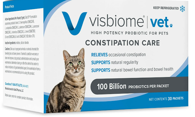 Probiotics are available for domestic cats online and they can prove beneficial in alleviating constipation and to improve health