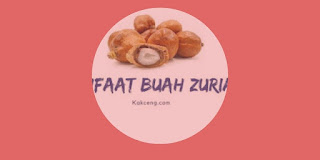 Manfaat Buah Zuriat