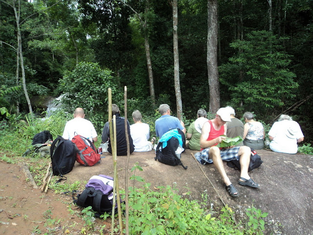 Two-Day Trek at Doi Pha Ngam, trek at doi phan gam, trekking at doi phan gam, 2 days trek at doi phan gam, chiang mai trekking, trekking in chiang mai