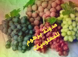 The benefits of grapes are amazing - فوائد العنب مدهشة لا يستغني عنها الانسان