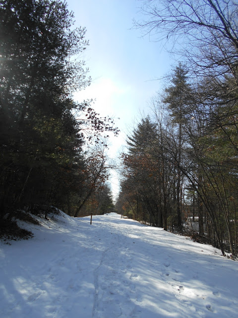 Nashua River Trail under snow