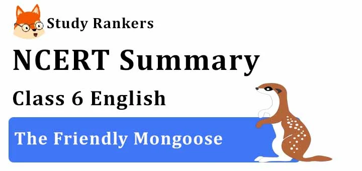 The Friendly Mongoose Class 6 English Summary