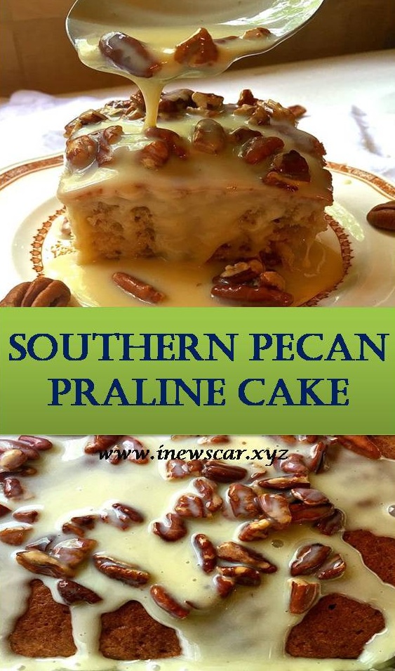 Southern Pecan Praline Cake is about as southern as you can get and if you like pecans and pralines you will love this easy to make, decadent and delicious cake.