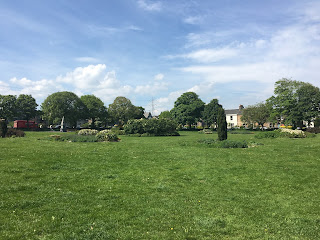 A grassy fields with bushes and trees scattered around.