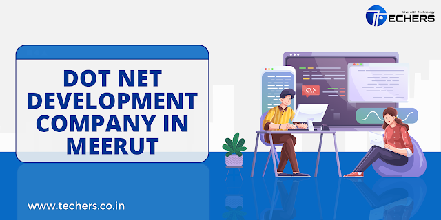 dot net development company in meerut