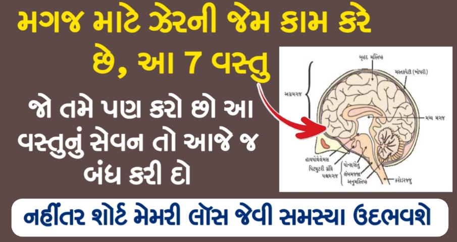 આ 5 વસ્તુ મગજ માટે ઝેરની જેમ કામ કરે છે, બને તો આજે જ બંધ કરી દો