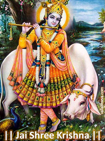 shree krishna