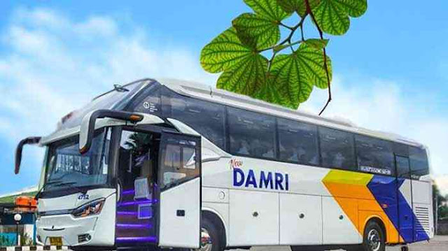 Damri Purwakarta: Harga Tiket & Jadwal Damri ke Bandara