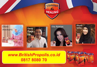 Manfaat-British-Propolis-Kegunaan-British-Propolis-Khasiat-British-Propolis