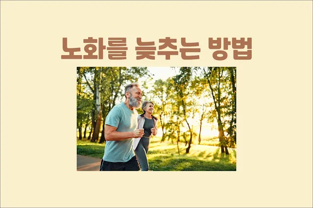 노화를-늦추는-방법