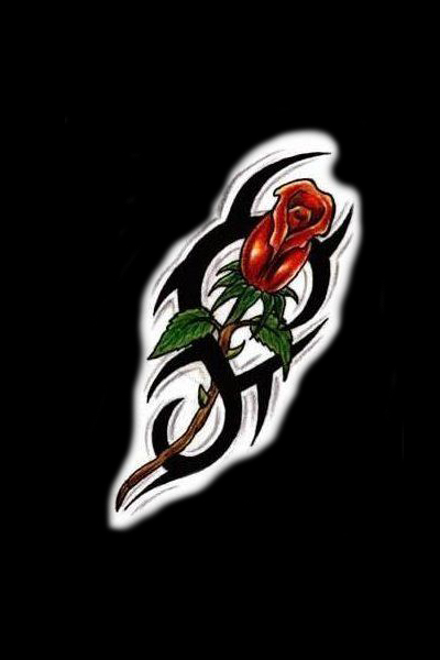 Tattoo Sketches Tattoos Rose Roses Flower Tattoo Tribals Roses Tattoo