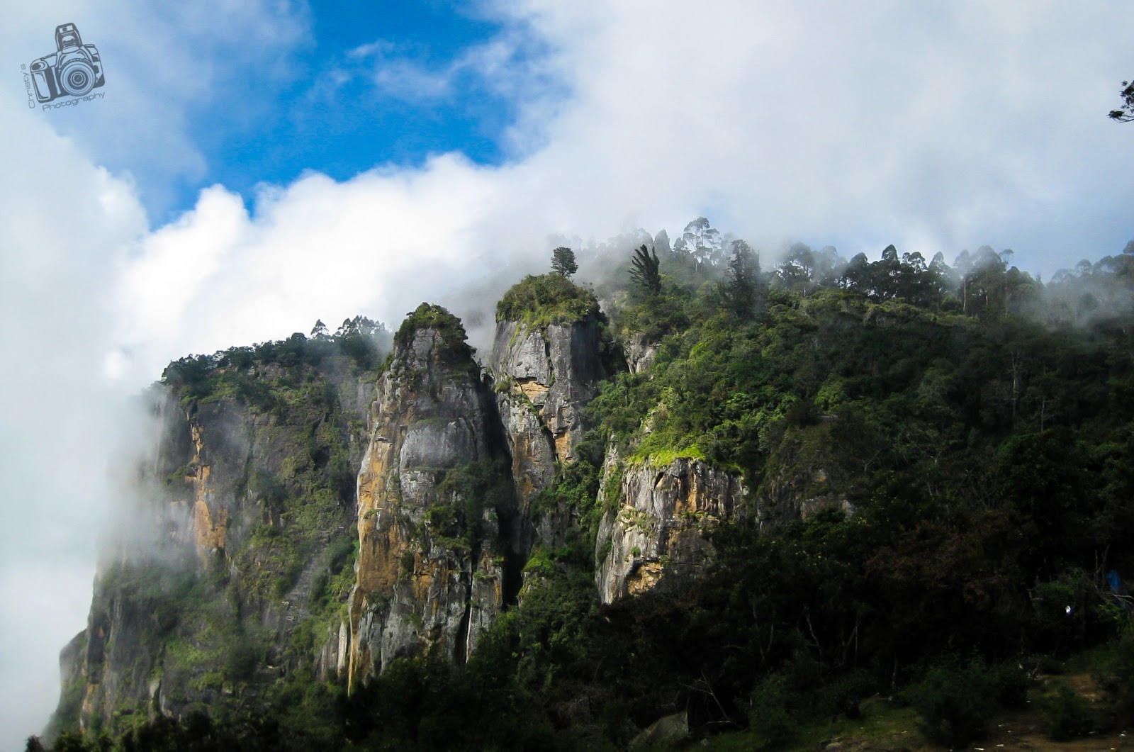 Kodaikanal, Nature, nature, Wallpaper